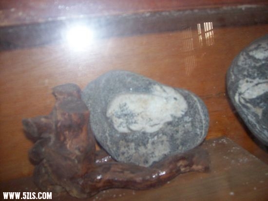 nEO_IMG_100_5816.jpg