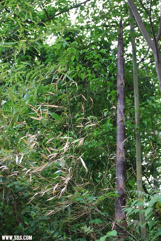 DSC_0830.jpg