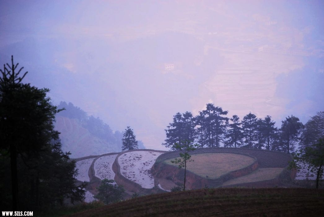 DSC_1101.jpg