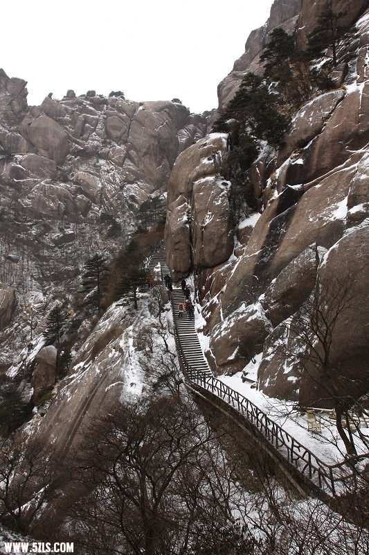 IMG_3563.JPG