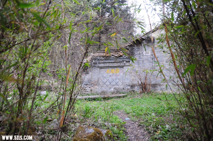 DSC_4206.JPG