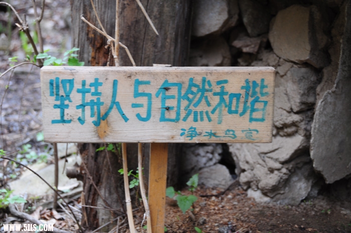DSC_4224.JPG