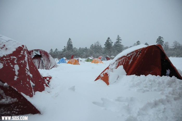 DSC_4271.JPG