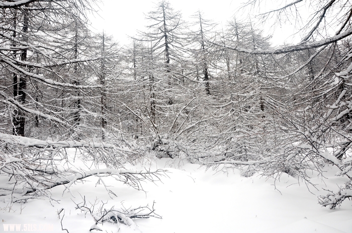 DSC_4330.JPG