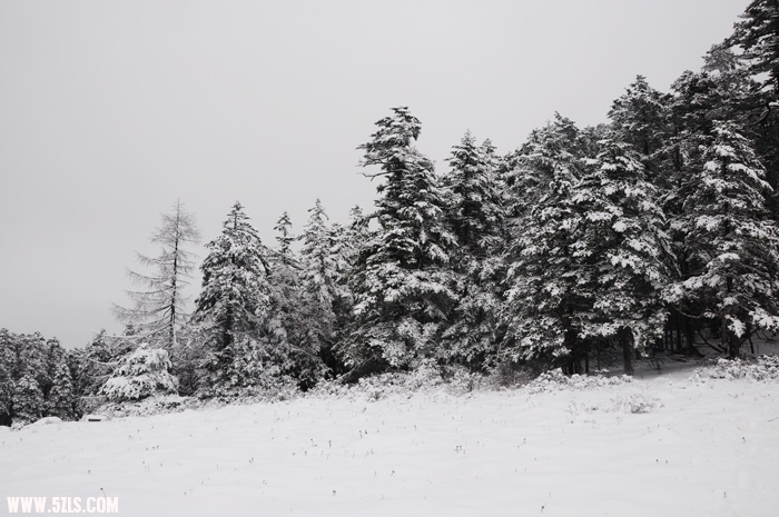 DSC_4359.JPG