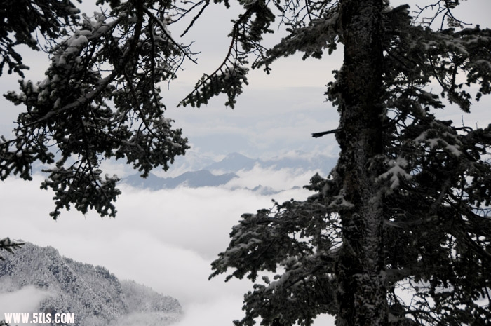 DSC_4393.JPG