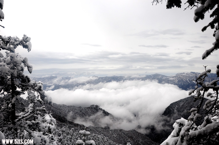 DSC_4403.JPG