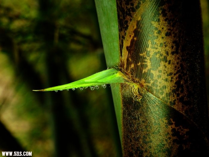 Ƭ 020-1.jpg