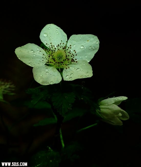 Ƭ 023-1.jpg
