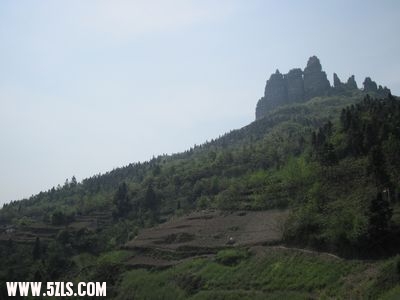 IMG_2398.jpg