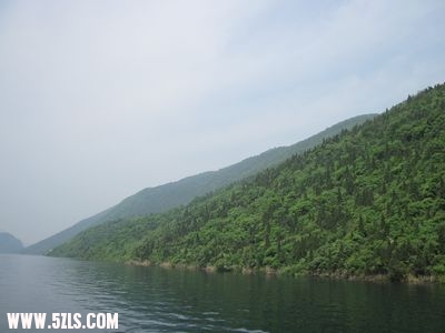 IMG_2707.jpg