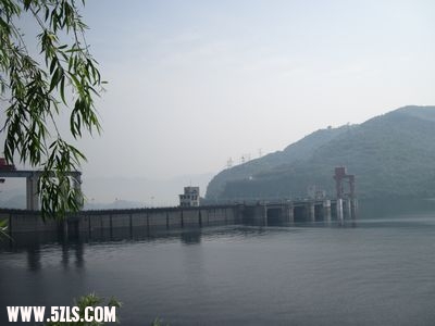 IMG_2637.jpg