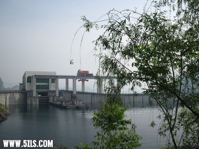 IMG_2636.jpg