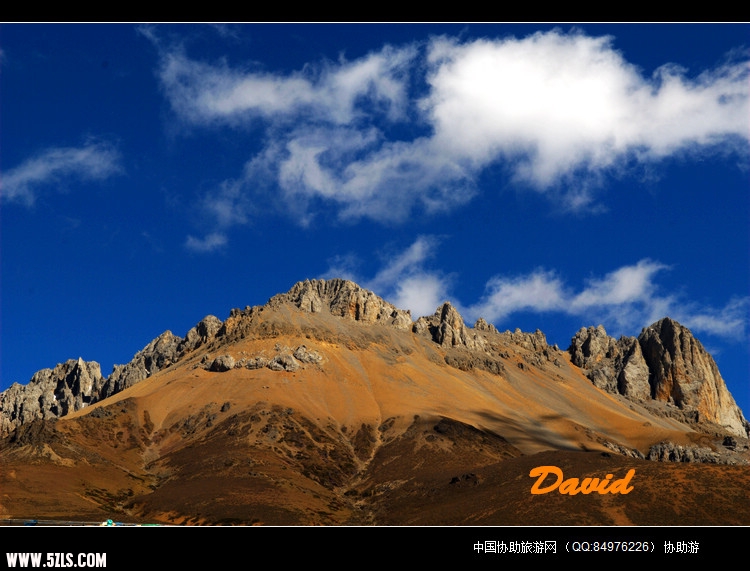 _DAV0549.jpg