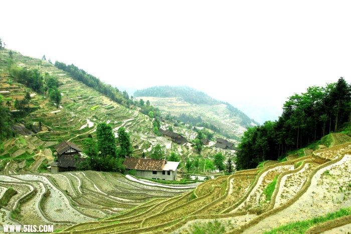 ȵ012.JPG