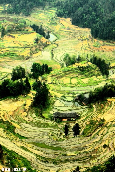 ȵ017.JPG