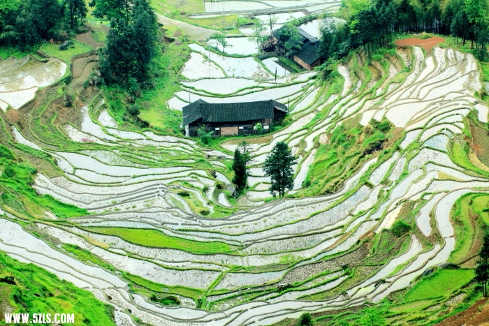 ȵ062.JPG