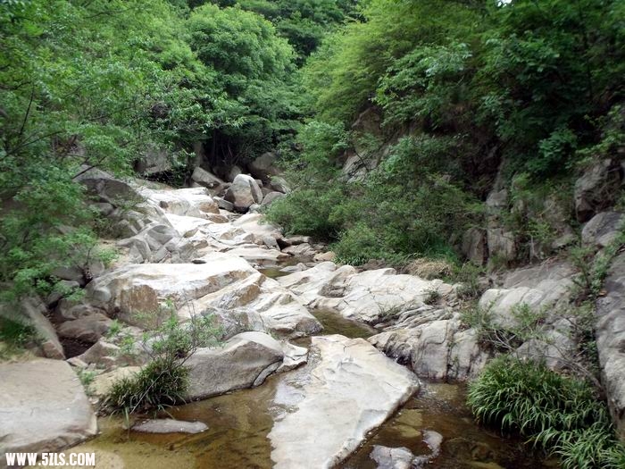 DSCF0611.JPG