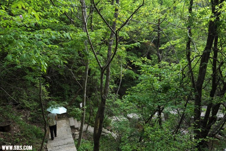 һ 080.jpg