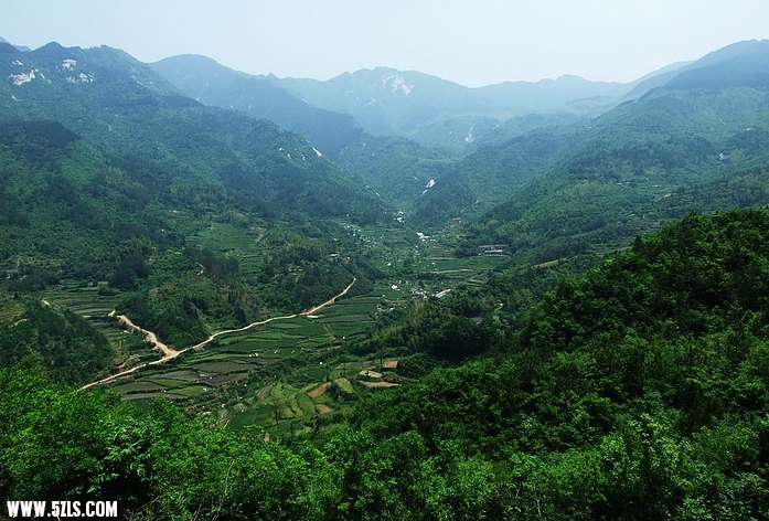 20080507_1511283507d7697a16f9eOkvDwer6zrJ.jpg