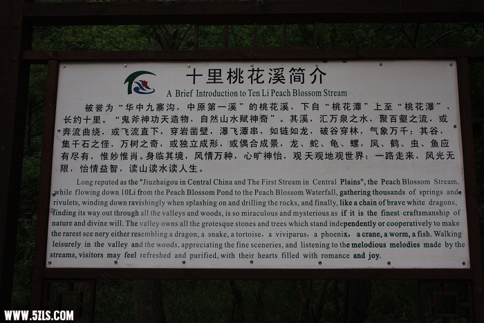 IMG_5343.jpg