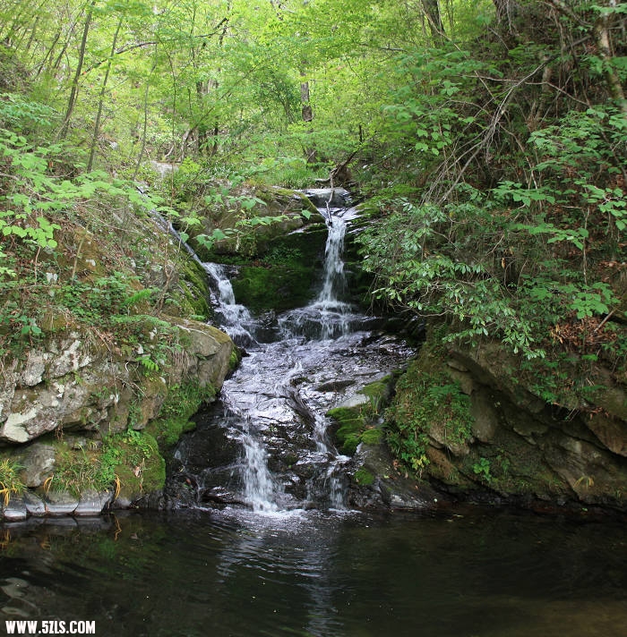 IMG_5295.jpg