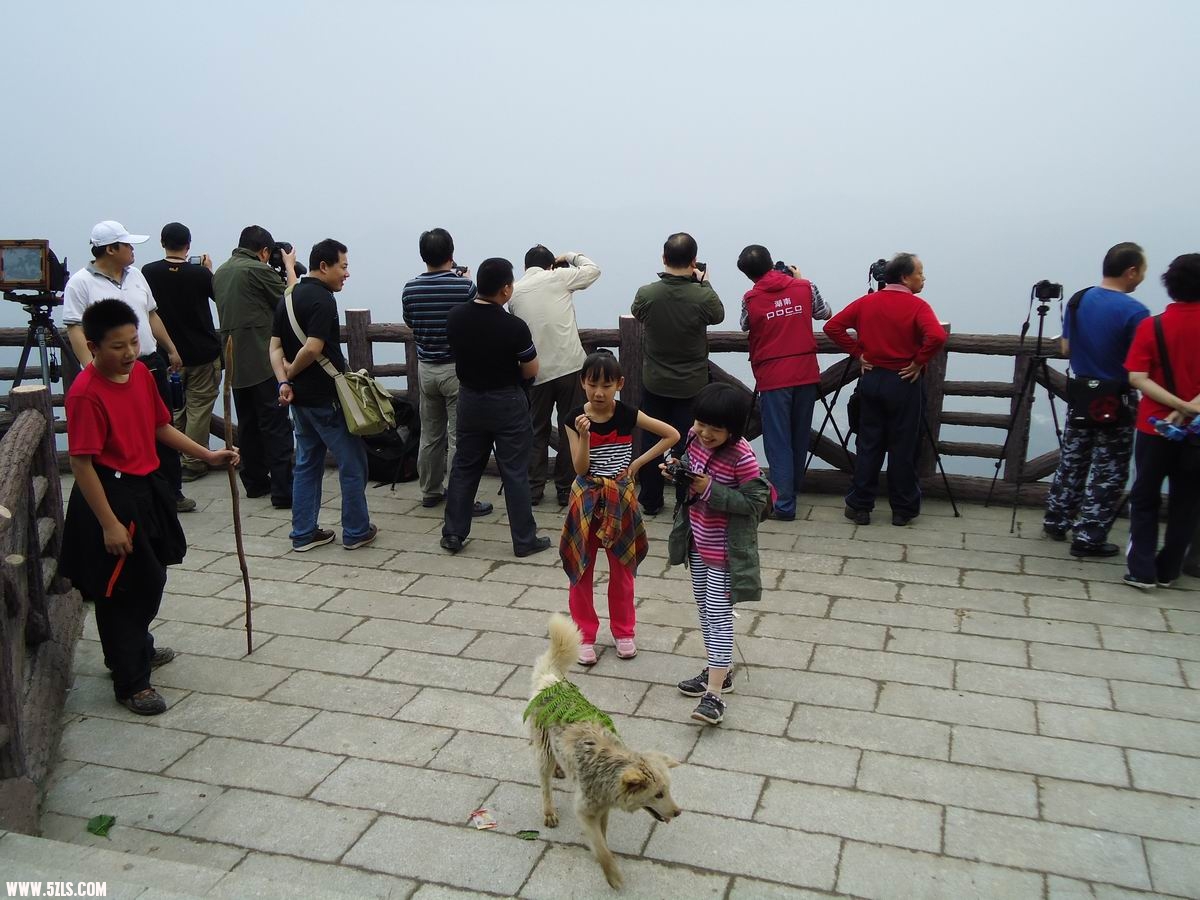 С DSC00610.JPG