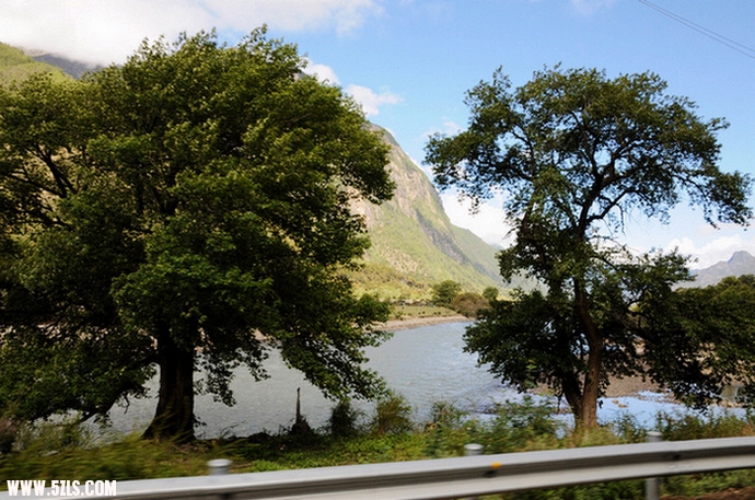 Ƭ 1104.jpg