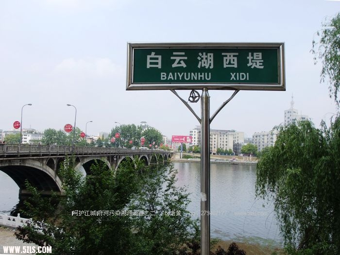 DSCF0813.JPG