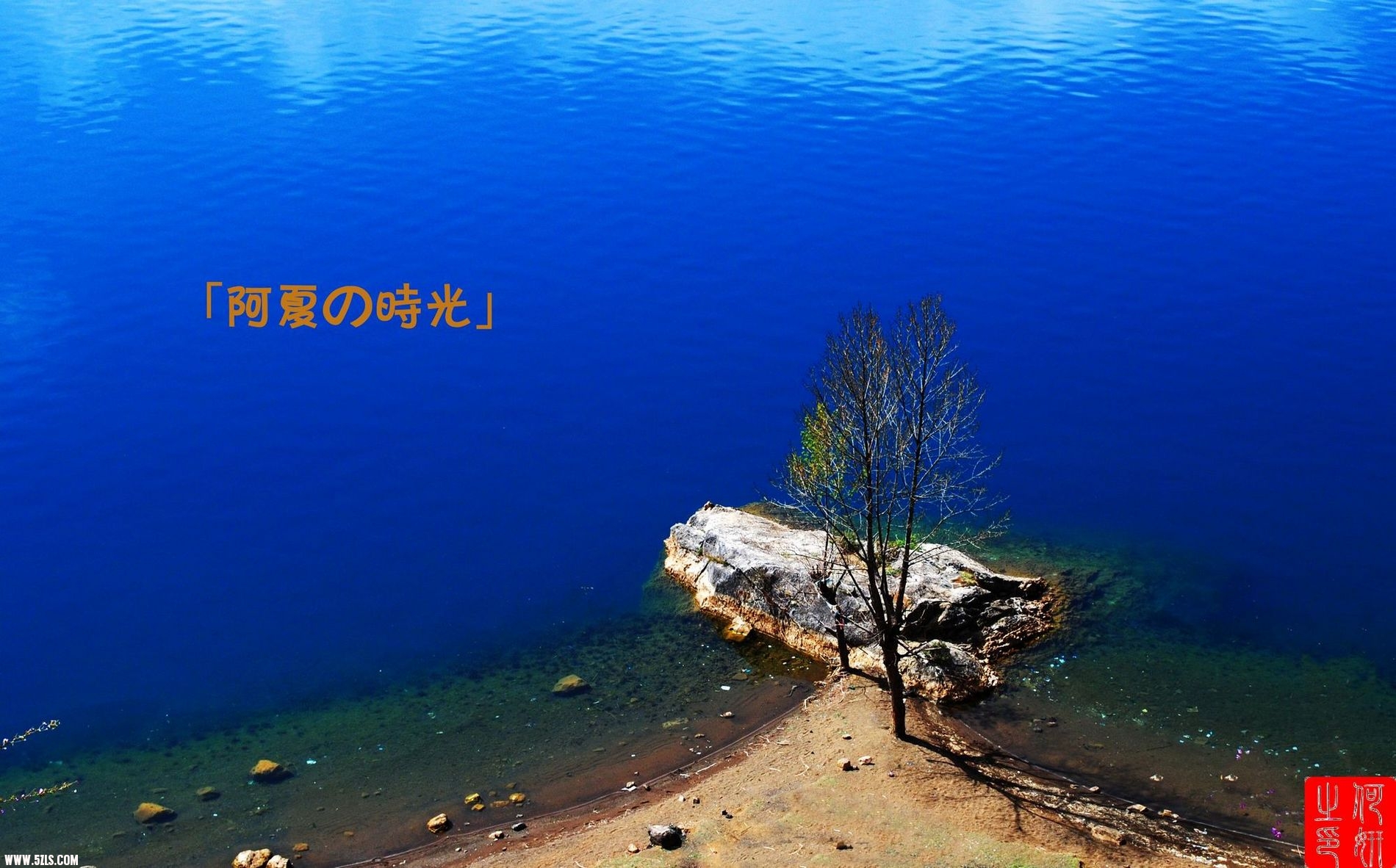DSC_0512A DSC_0512A .jpg
