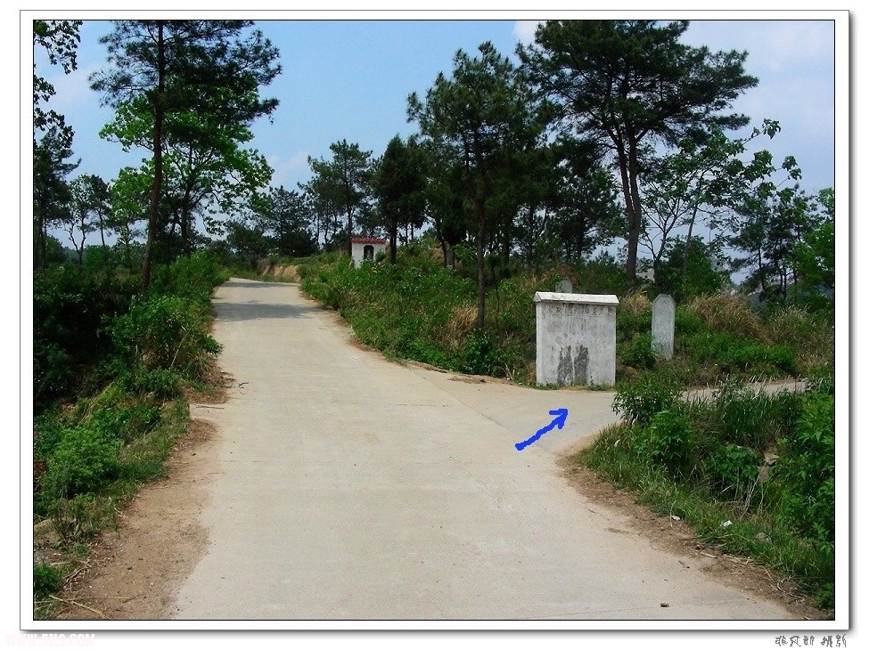 DSCN6511.jpg