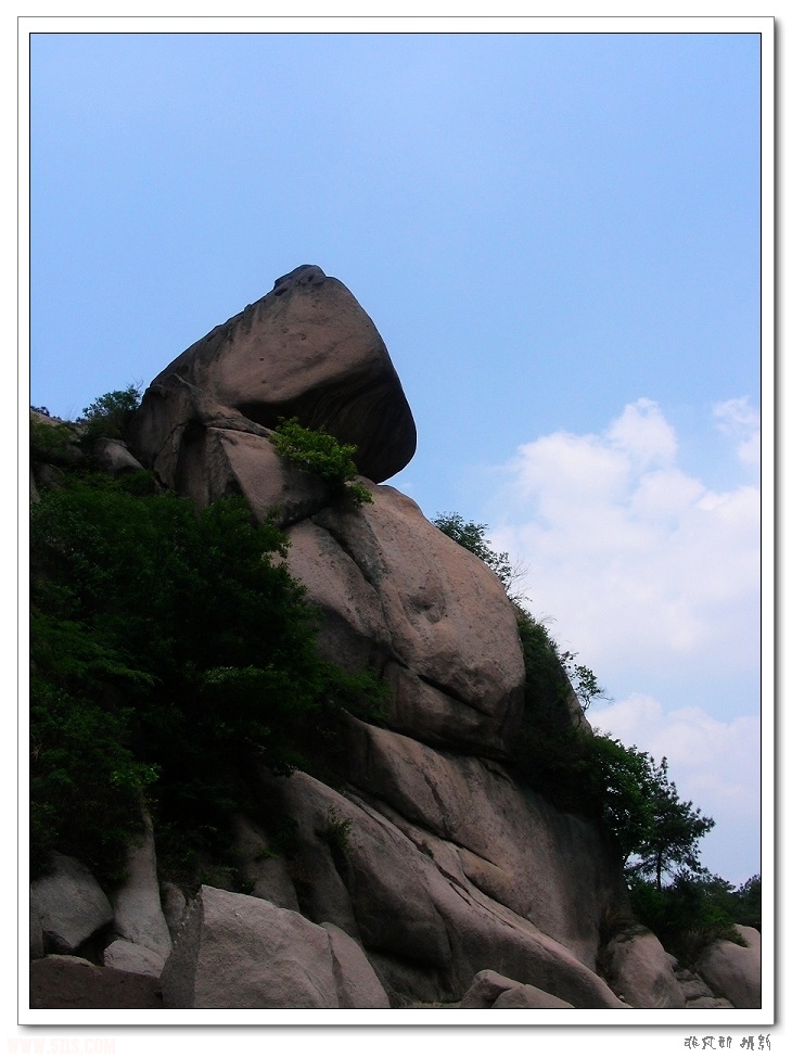 DSCN6499.jpg