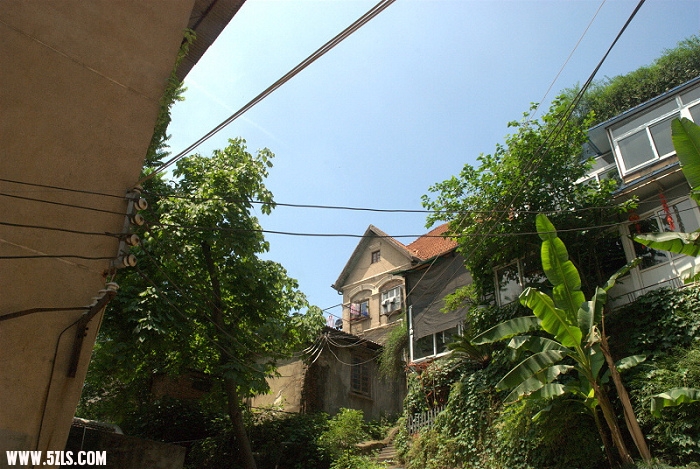 DSC_0090.jpg