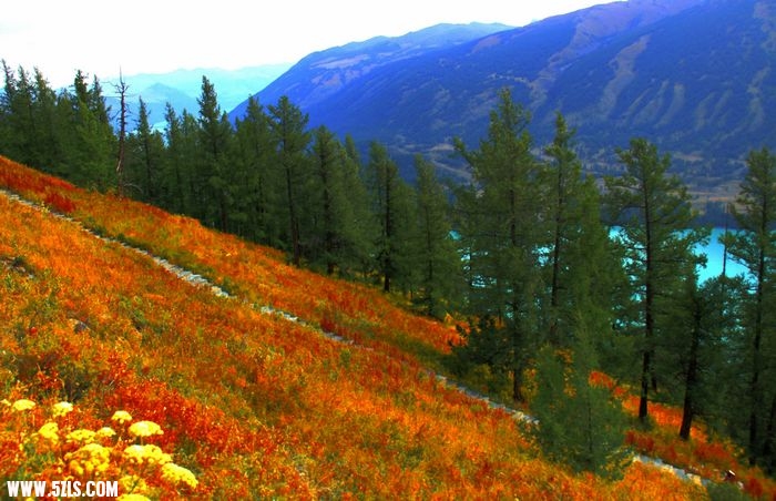 ɺҶˮ1.jpg