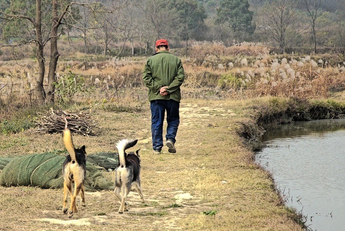 DSC_0128.jpg