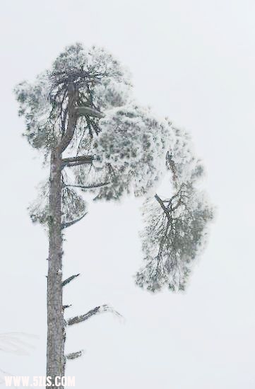 2010֮ 364.jpg
