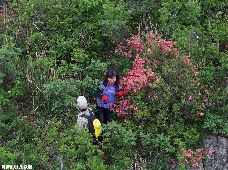 2011年0514C黄柏山九峰尖穿越 (95).jpg