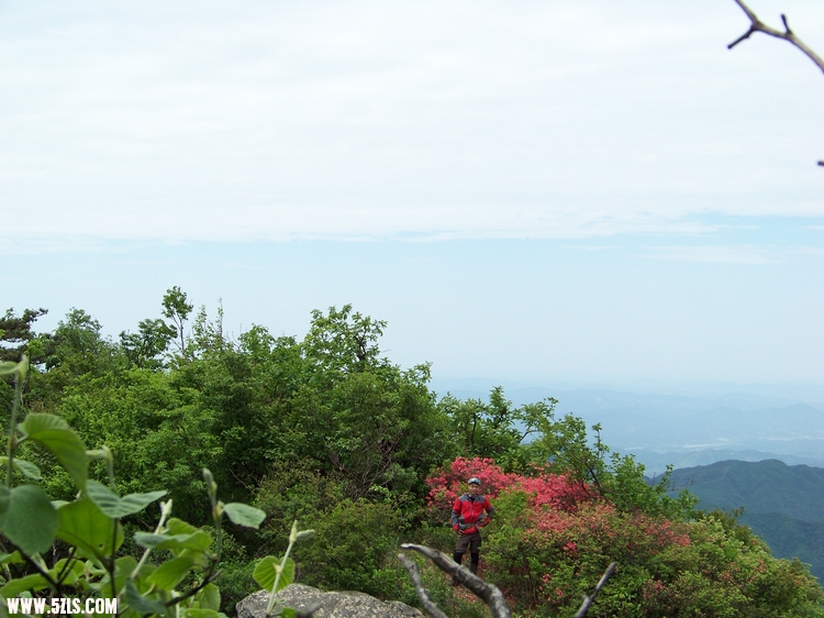 2011年0514D大别山黄柏山九峰尖 (13).jpg