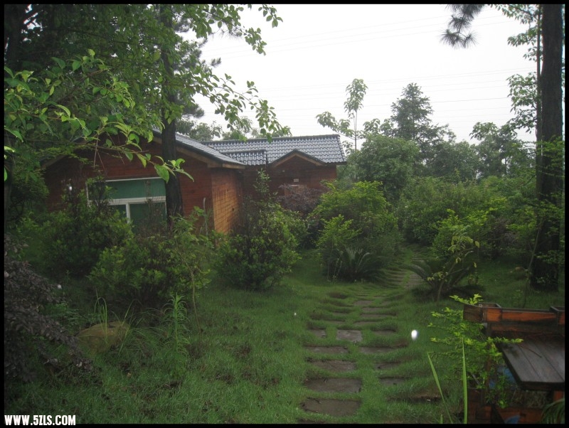 conew_img_6662.jpg