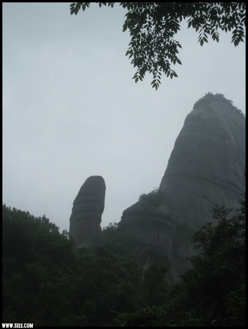 conew_img_6740.jpg