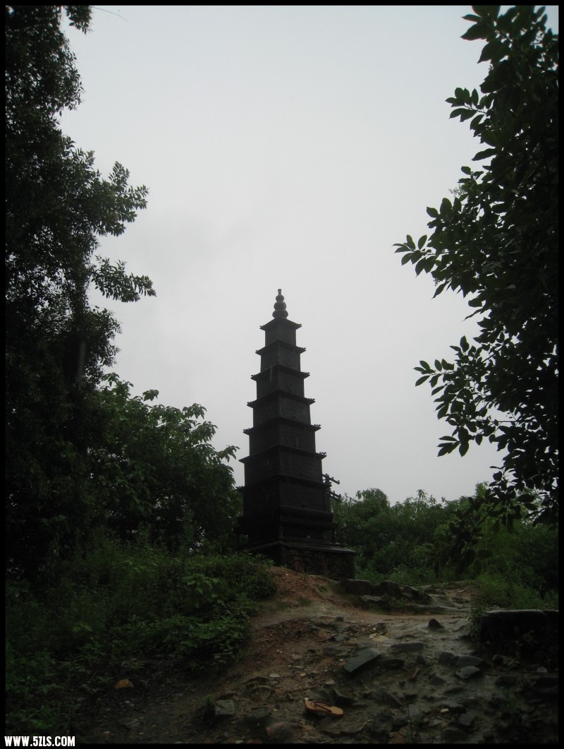 conew_img_6887.jpg