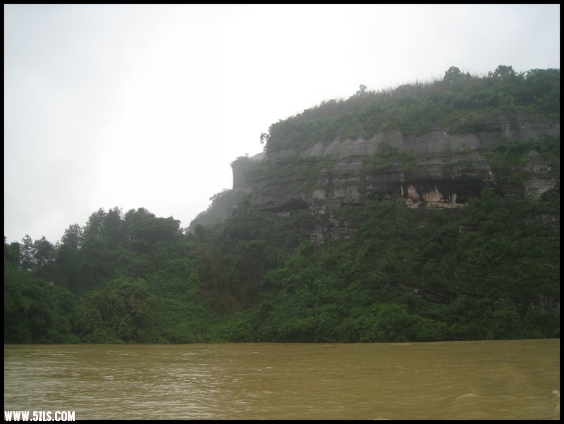 conew_img_6687.jpg