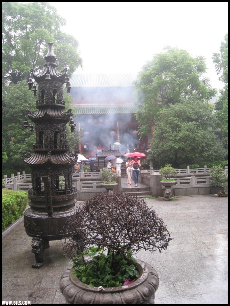 conew_img_6931.jpg