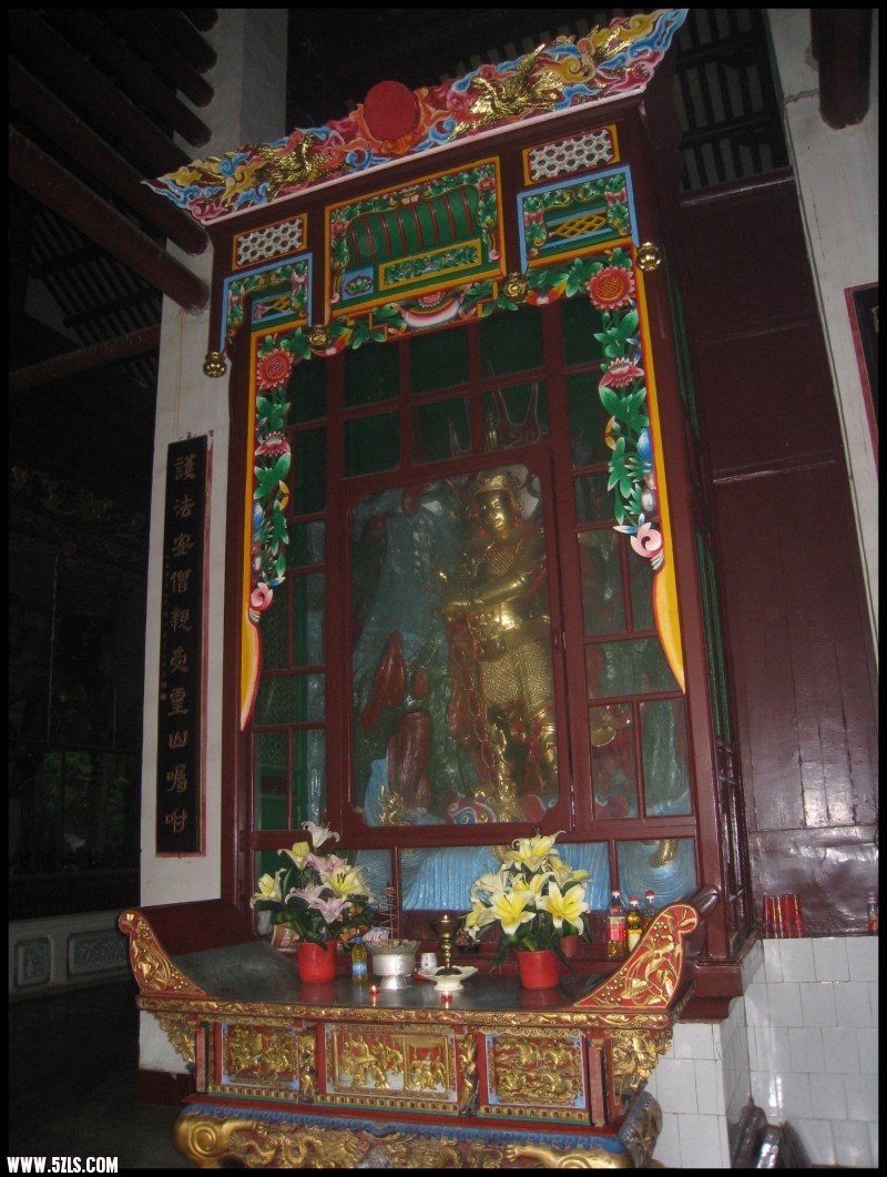 conew_img_6929.jpg