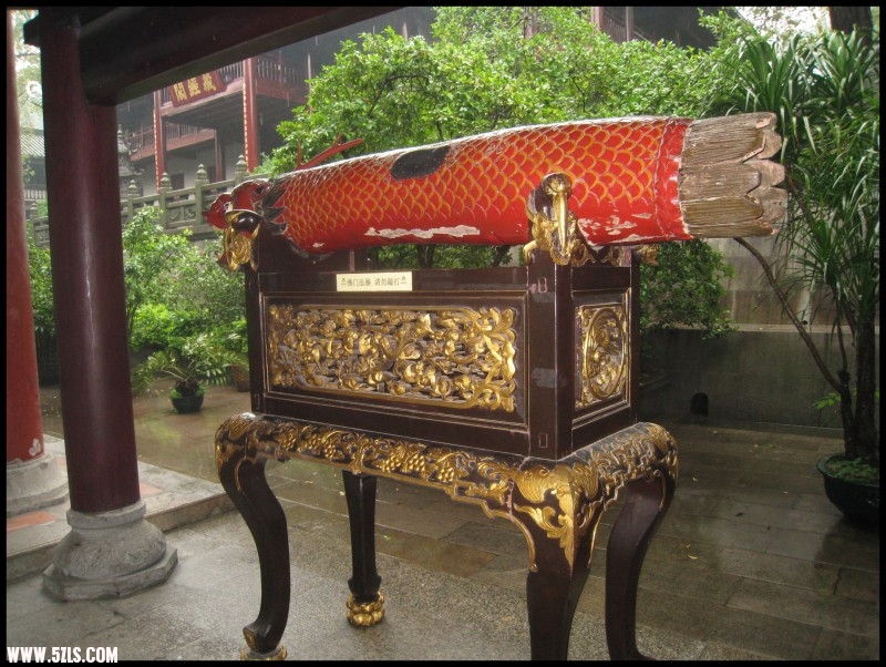 conew_img_6946.jpg