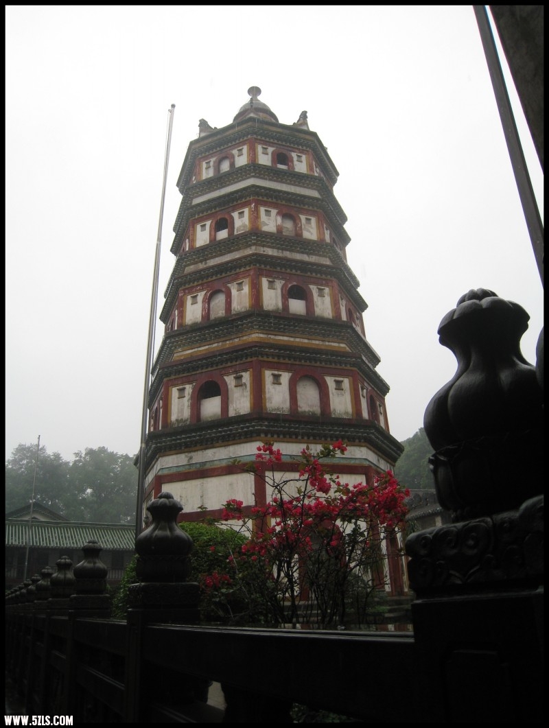 conew_img_6949.jpg