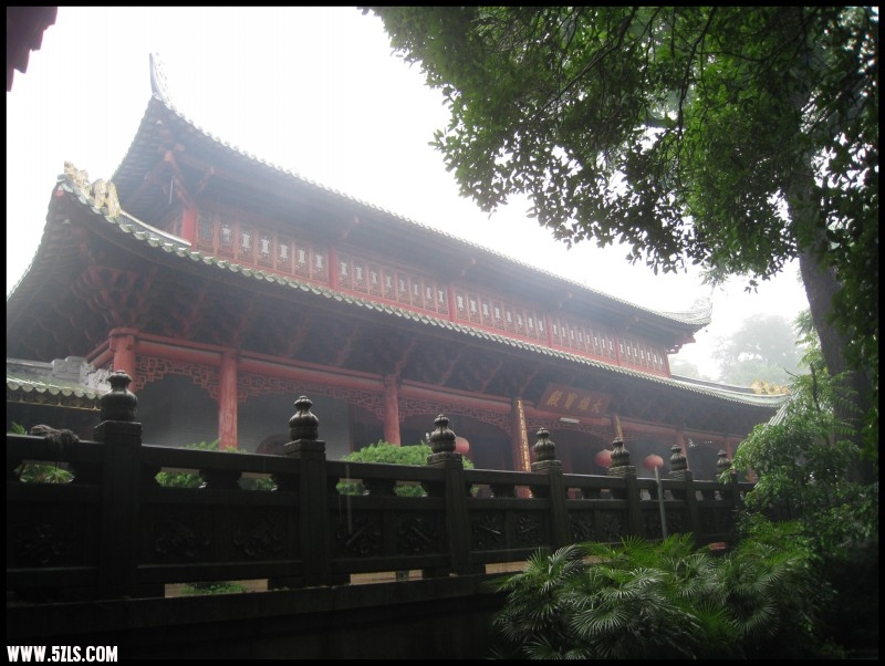 conew_img_6972.jpg