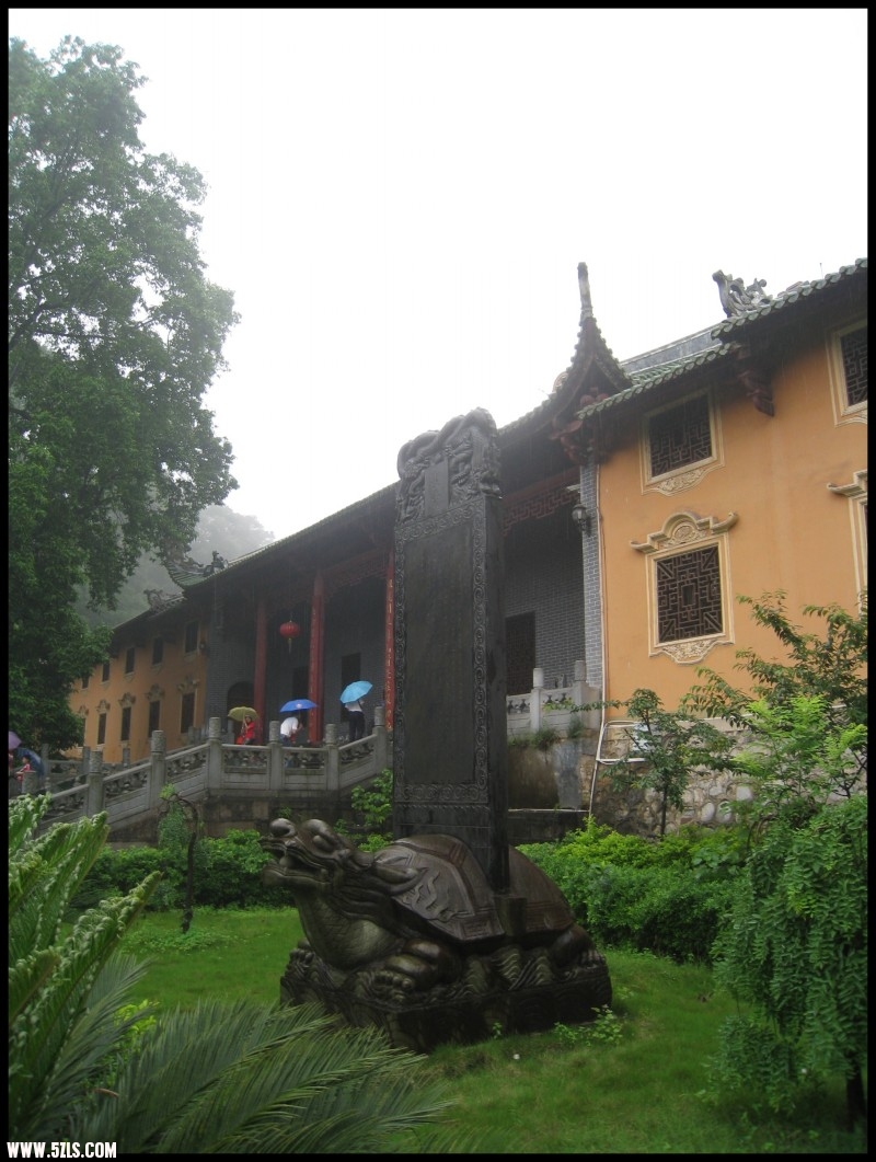 conew_img_6979.jpg