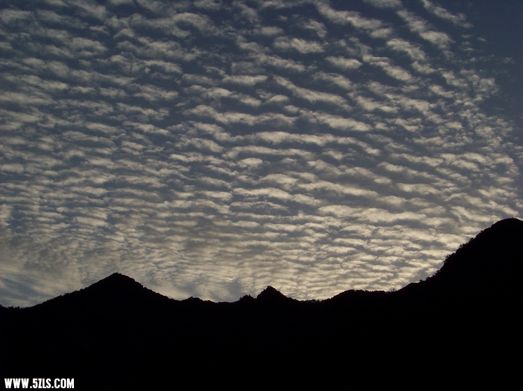 2011年0515A黄柏山的清晨 (11).jpg