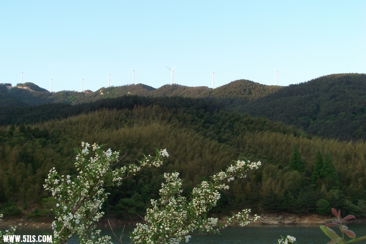 2011年0515A黄柏山的清晨 (24).jpg